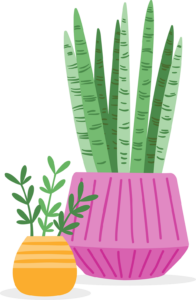 Plants