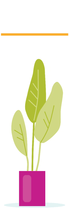 Plant under bookshelf