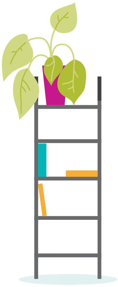 Plant on bookshelf